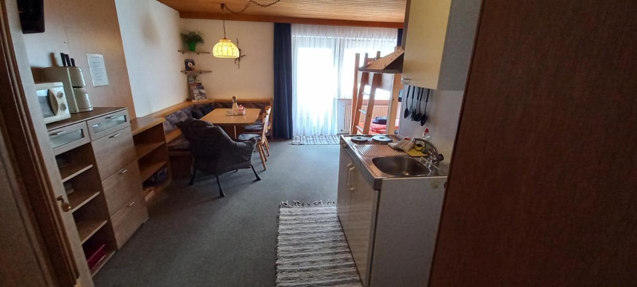 Appartement Studio Hochzillertal Mit Sauna & E-Ladestation à Ried im Zillertal Extérieur photo