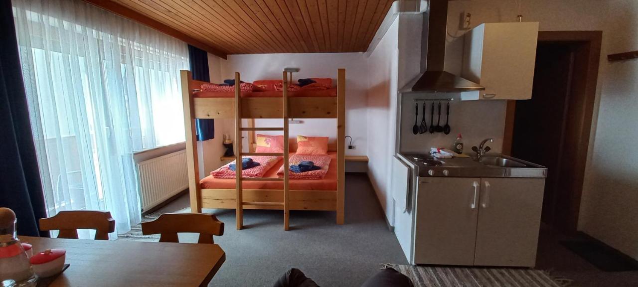 Appartement Studio Hochzillertal Mit Sauna & E-Ladestation à Ried im Zillertal Extérieur photo