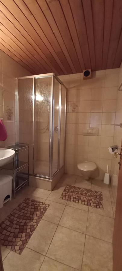 Appartement Studio Hochzillertal Mit Sauna & E-Ladestation à Ried im Zillertal Extérieur photo