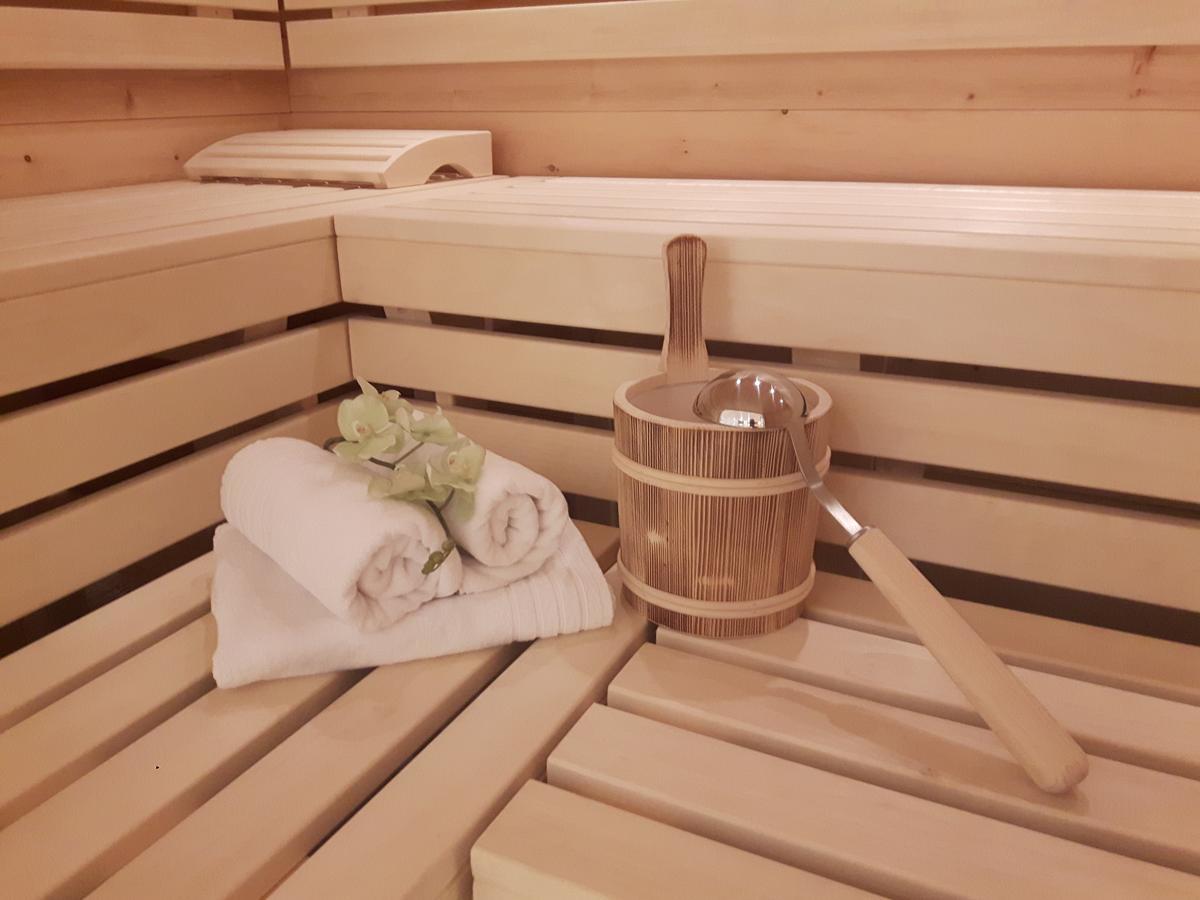 Appartement Studio Hochzillertal Mit Sauna & E-Ladestation à Ried im Zillertal Extérieur photo